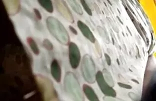 XXX 赤毛単に椅子の姉 女性 用 動画 エロ