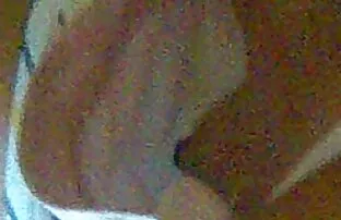 XXX 猫と膣 女の子 用 アダルト 動画